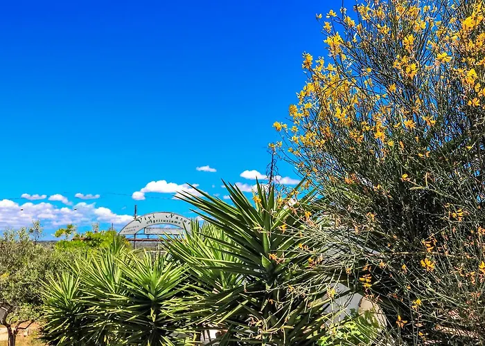 Vivi Natura Gospodarstwo agroturystyczne