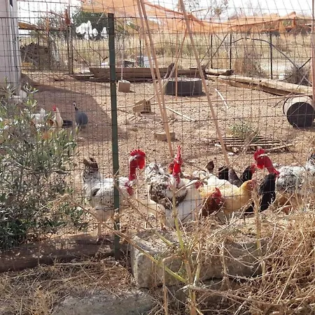 Agroturismo Vivi Natura Gallipoli