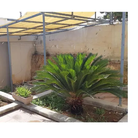 Vivi Natura Farm stay *