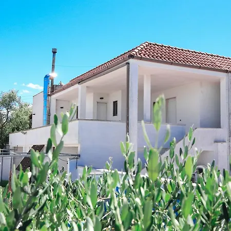 Vivi Natura Farm stay