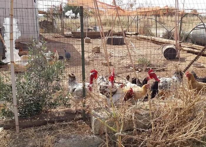 Farm stay Vivi Natura Gallipoli